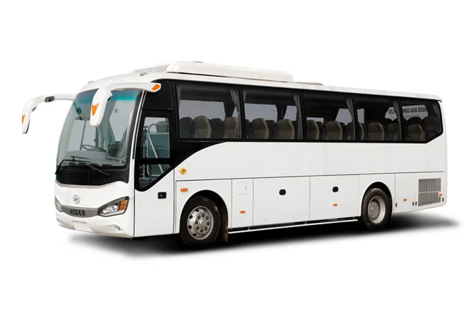 melbourne party bus hire